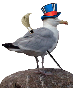 Give us a chip