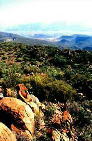Hex Valley