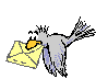mail